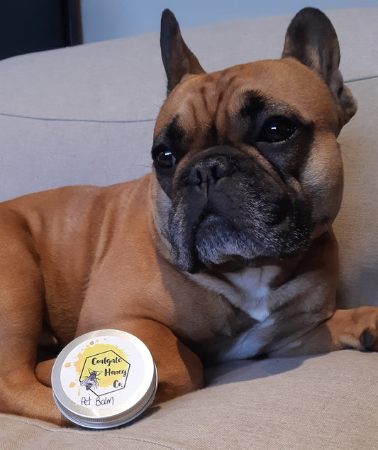 Pet Balm